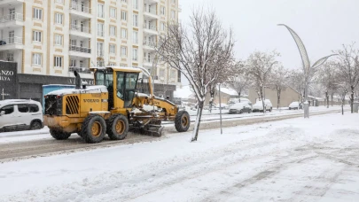 Van'da Karla Mücadele Seferberliği