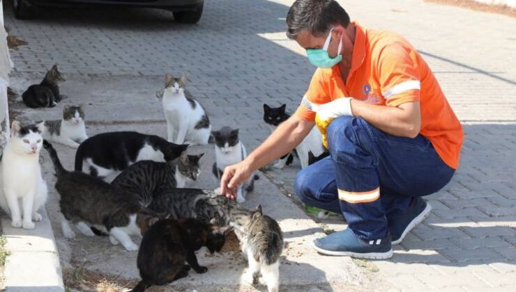 İzmir Gaziemir’de can dostları için farkındalık